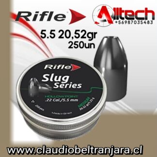 Slug Rifle 20.52grs 5.5 claudio beltran jara alltech armeria