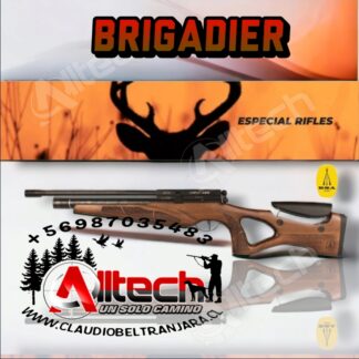 rifle bsa brigadier rifle pcp alltech armeria claudio beltran jara