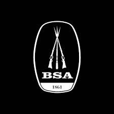 BSA GUNS